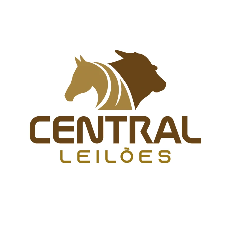 Central Leilões